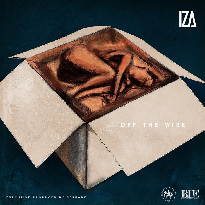 Cover image for Off the Wire