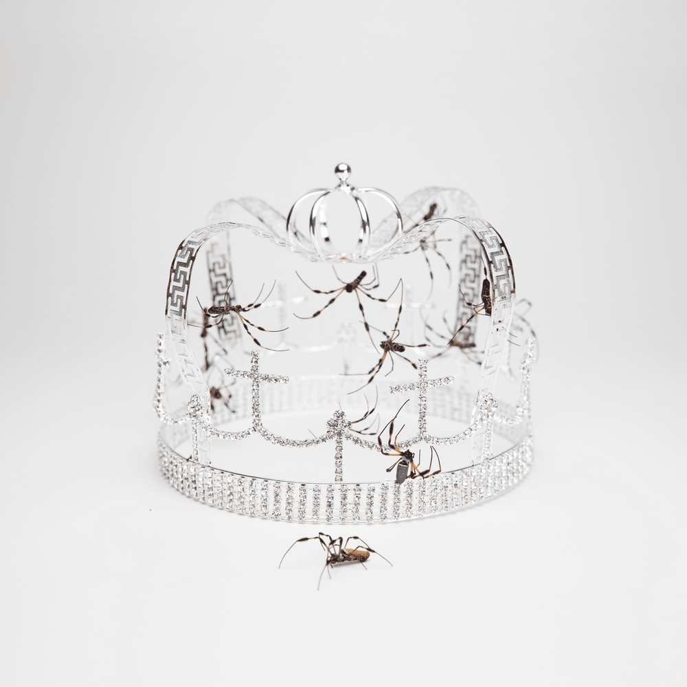 Album cover art for "you should see me in a crown" by Billie Eilish