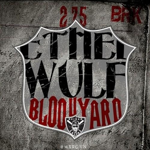 Cover image for Bloodyard