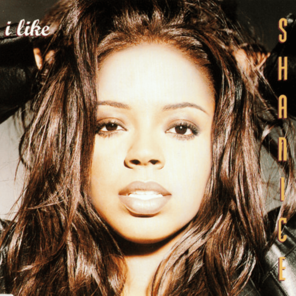 Album cover art for "I Like" by Shanice & Smooth
