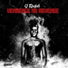 Cover image for Vengeance ND Revenge