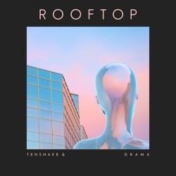 Cover image for Rooftop