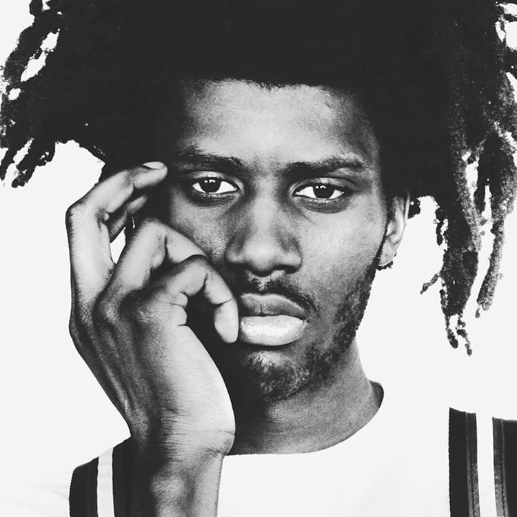 Cover image for Salomon Faye