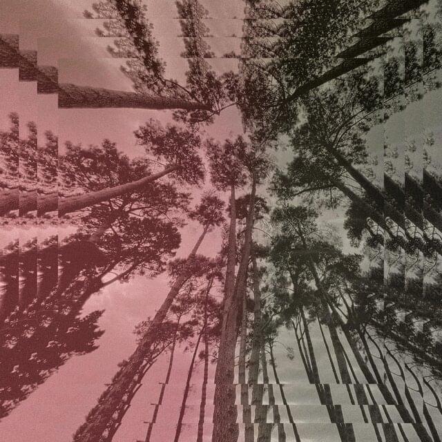 Album cover art for "The Howl" by Liam Finn