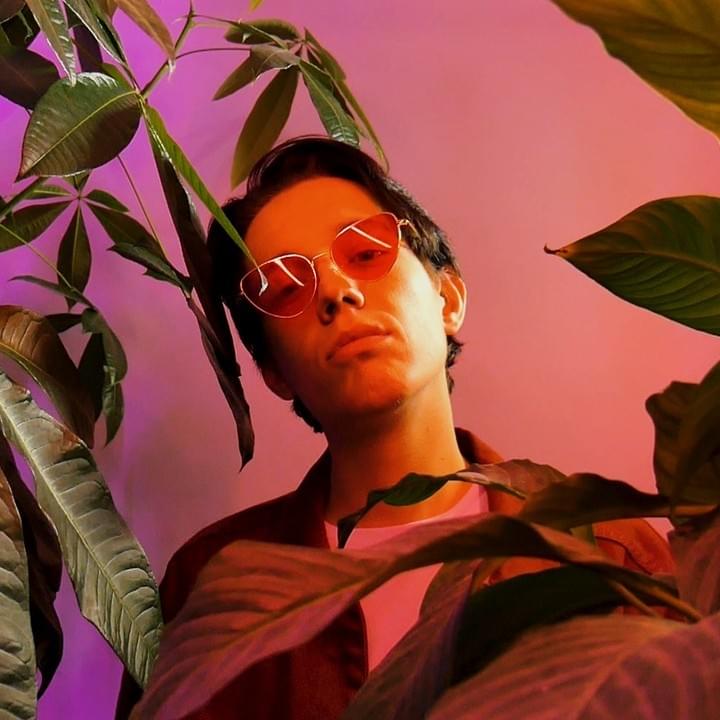 Cover image for Wildnights