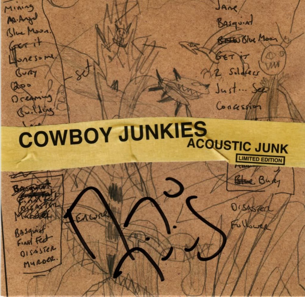 Cover image for Acoustic Junk