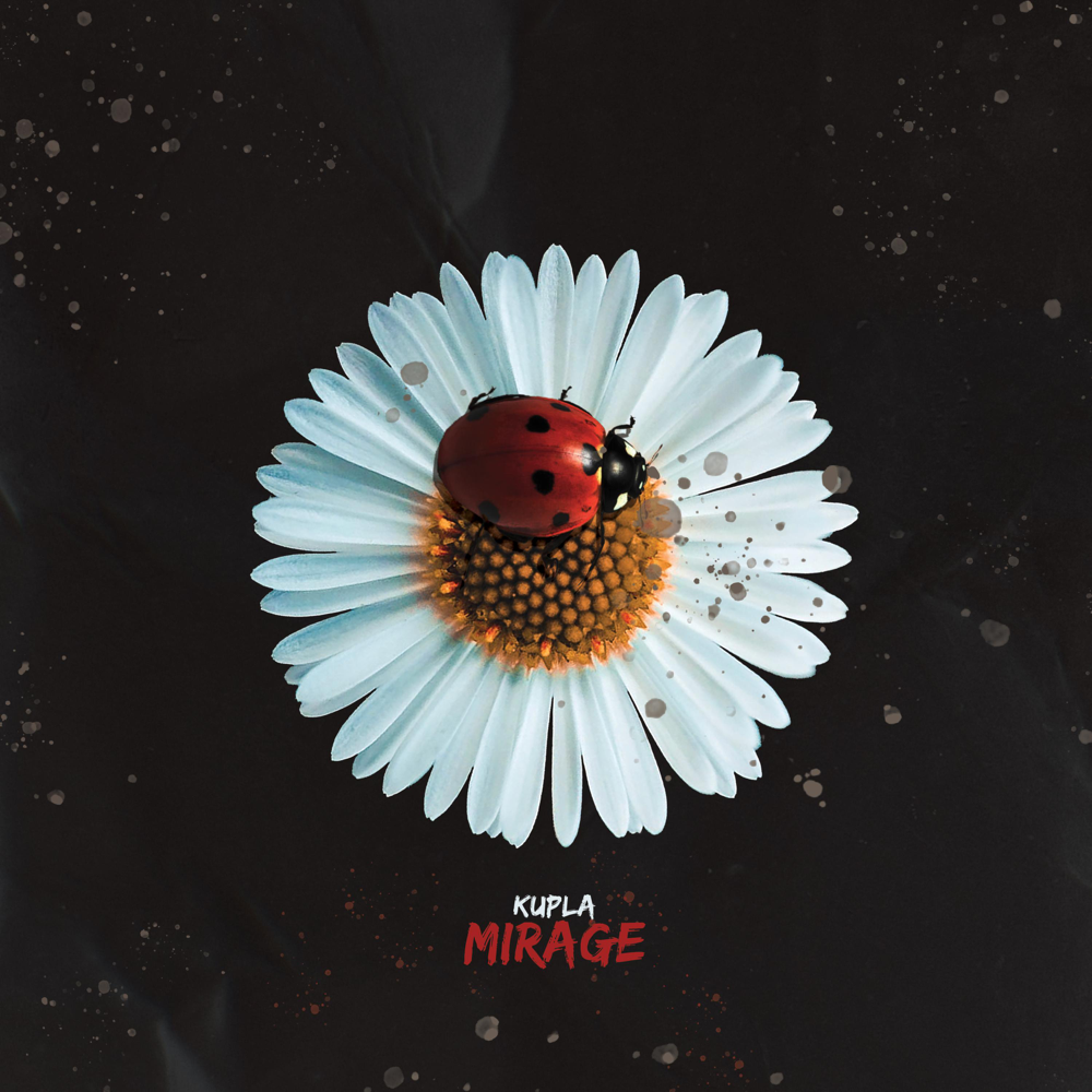 Cover image for Mirage