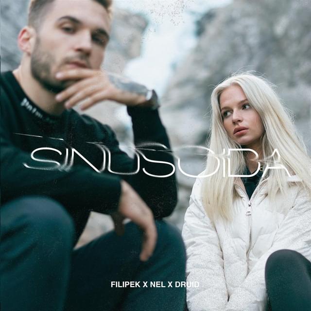 Album cover art for "Sinusoida" by Filipek & NEL (POL)