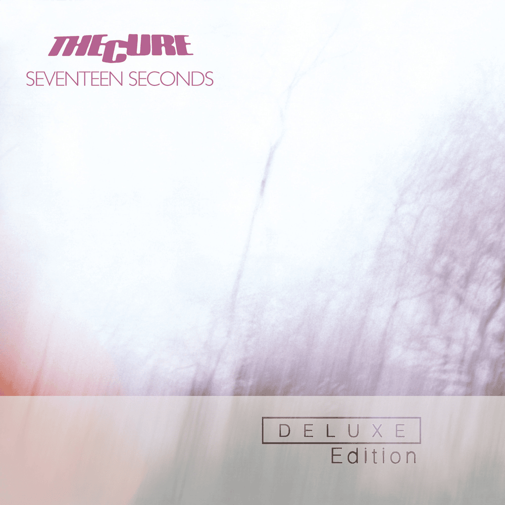 Album cover art for "A Reflection (live)" by The Cure