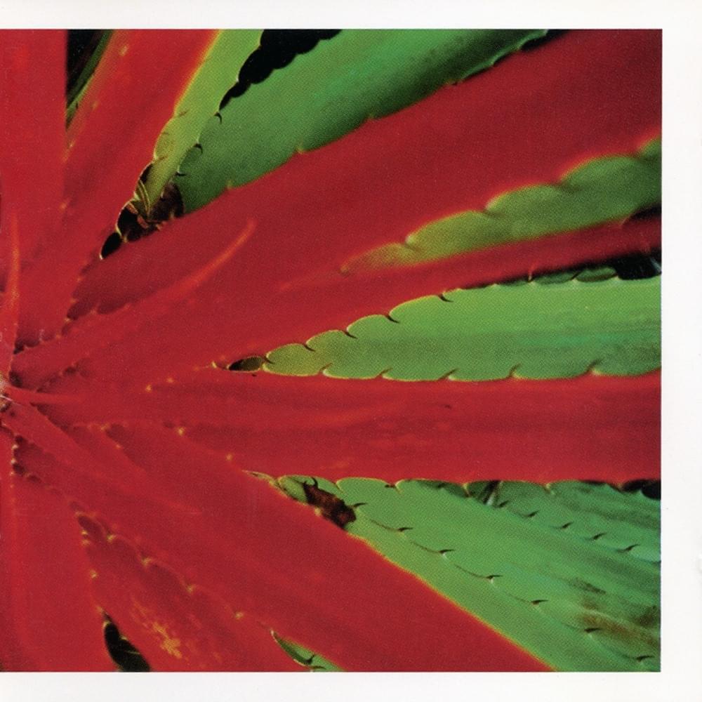 Album cover art for "Fixed On The One" by Jejune