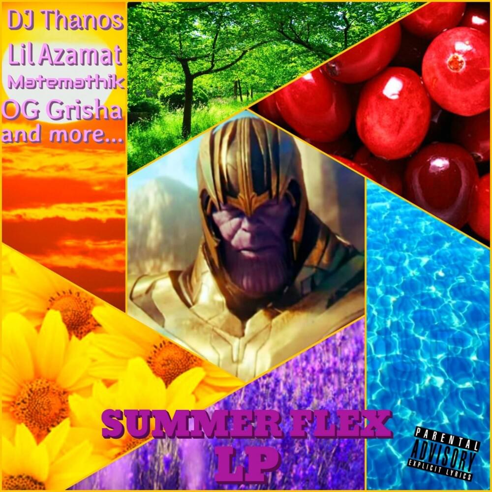 Cover image for Summer Flex LP