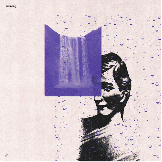 Album cover art for "Semi Pro" by Hippo Campus