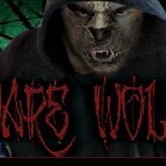 Cover image for Ware-Wolff