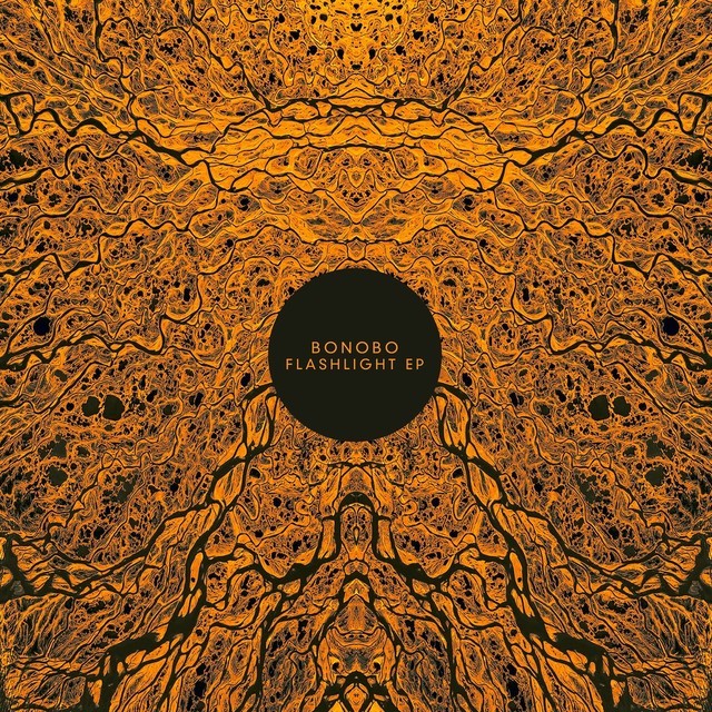 Cover image for Flashlight EP