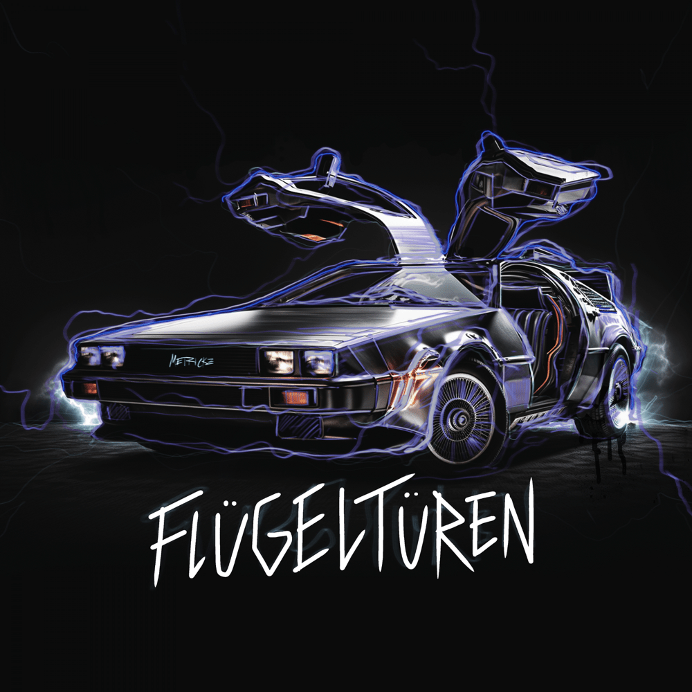 Album cover art for "Flügeltüren" by Metrickz