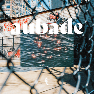 Album cover art for "Aubade" by Tom Doolie