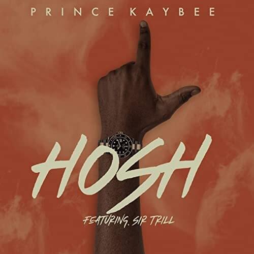 Album cover art for "Hosh" by Prince Kaybee & Sir Trill