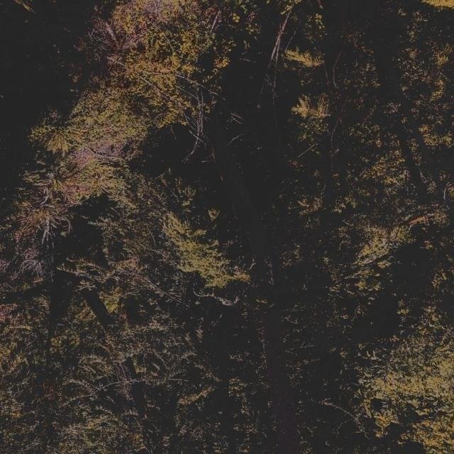 Album cover art for "squable" by Izaya Tiji