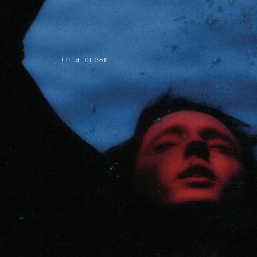 Cover image for In a Dream (Vinyl Edition)