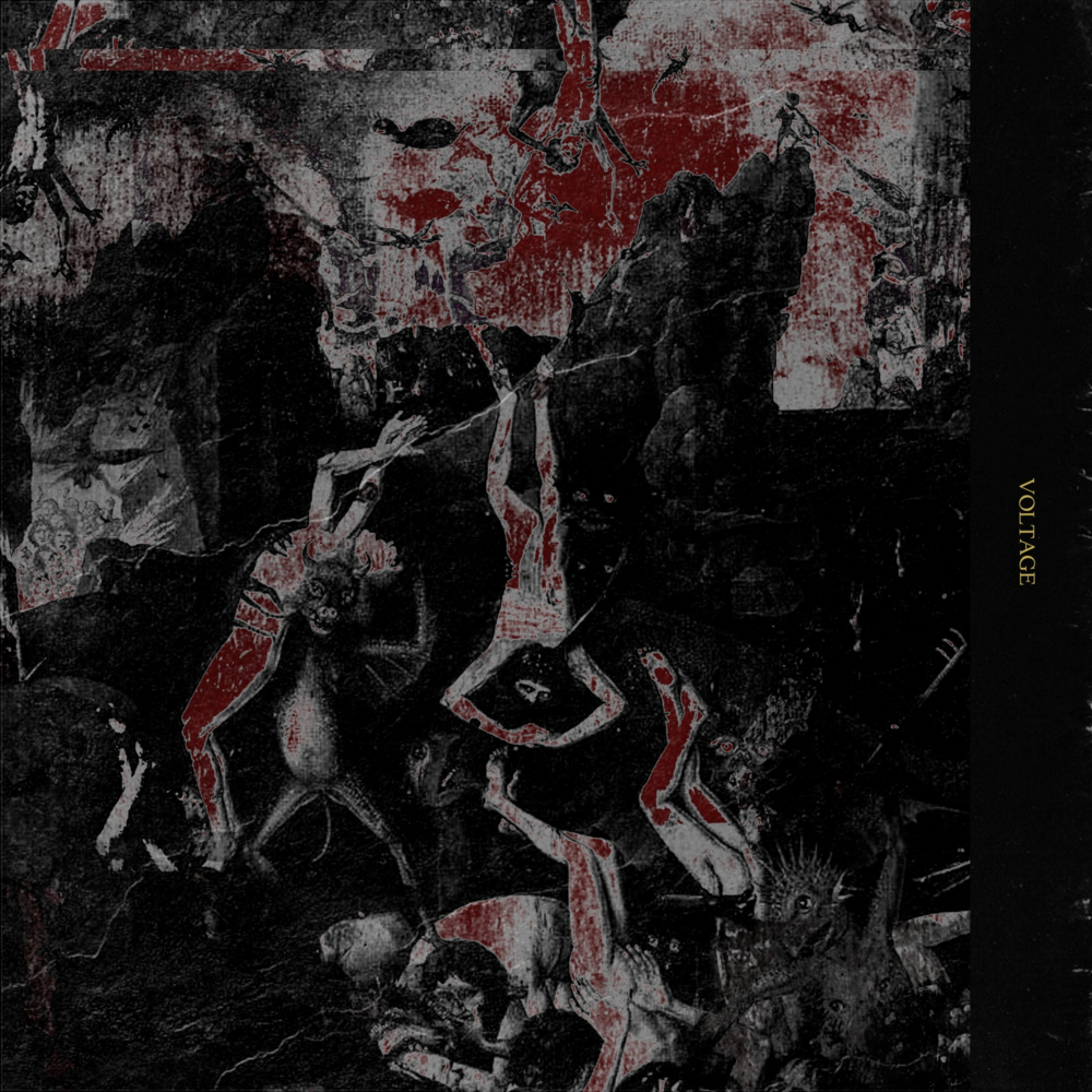 Cover image for Voltage