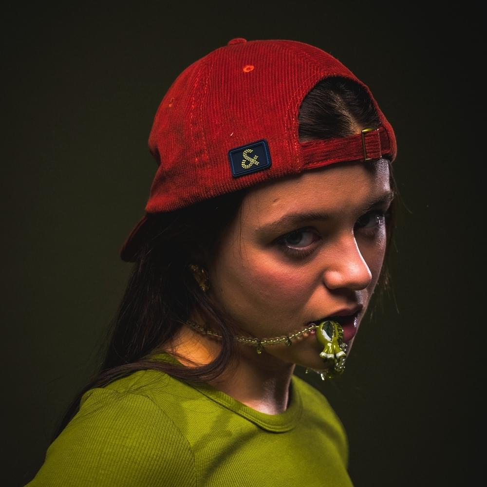 Cover image for Tember Blanche