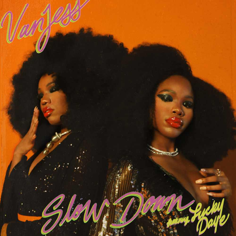 Album cover art for "Slow Down (Remix)" by VanJess & Lucky Daye