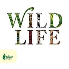 Cover image for Wildlife