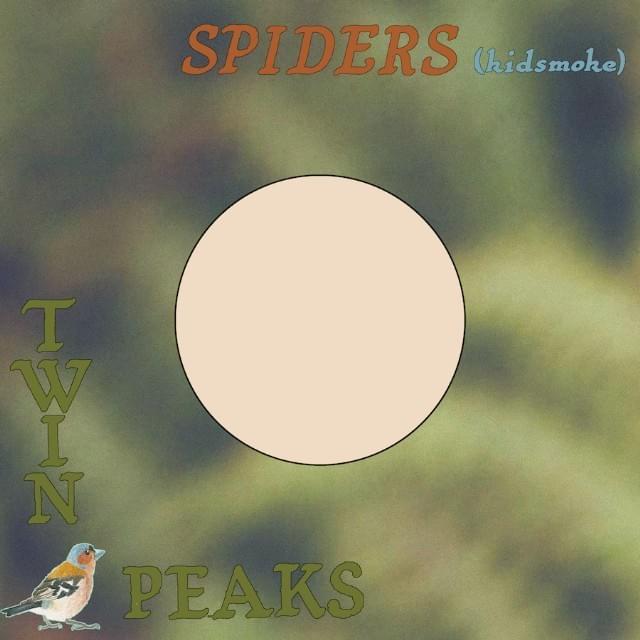 Cover image for Spiders (Kidsmoke)