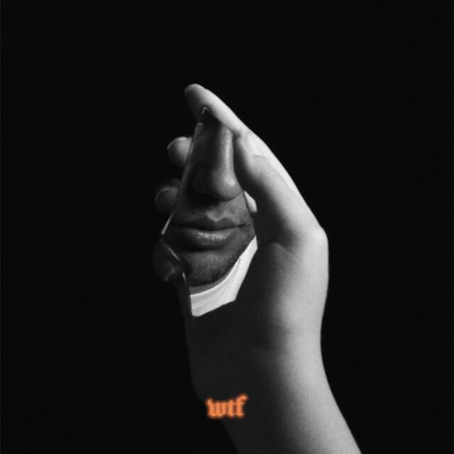 Album cover art for "WTF" by Sina