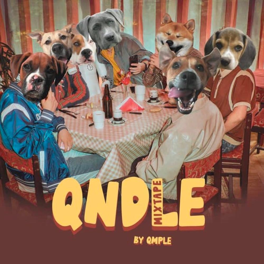 Cover image for QNDLE