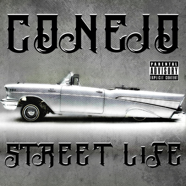 Cover image for Street Life