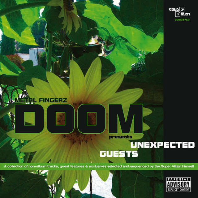 Cover image for Unexpected Guests