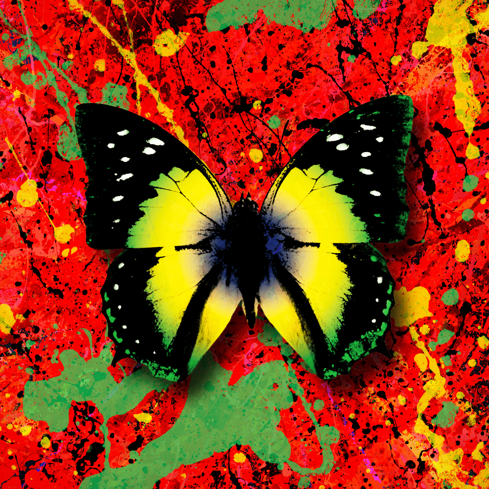 Album cover art for "2step (Brazilian Remix)" by Ed Sheeran & Chefin