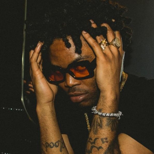 Photo of LEVELSANTANA
