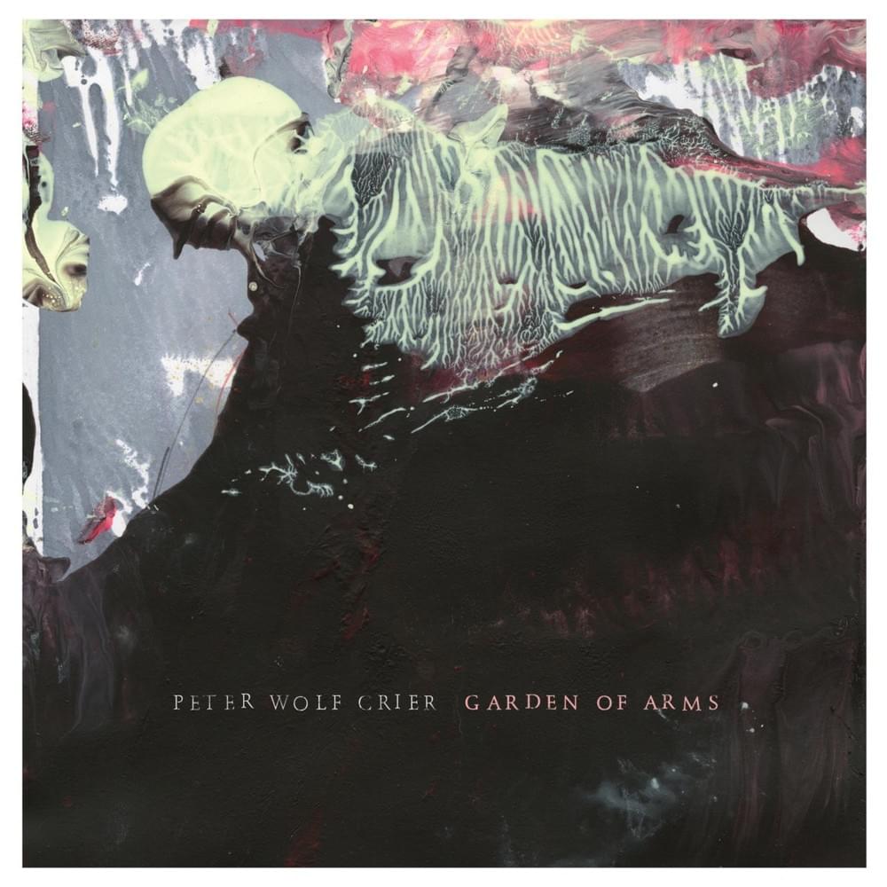 Having it Out by Peter Wolf Crier
