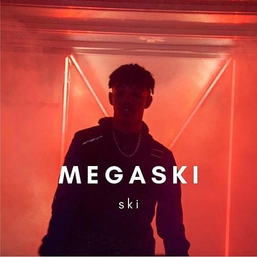 Album cover art for "Ski" by Megaski