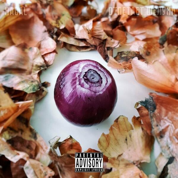 Album cover art for "Жертва выборочной проверки (Spot-check victim)" by HABAL & DARKWOLE (RUS)