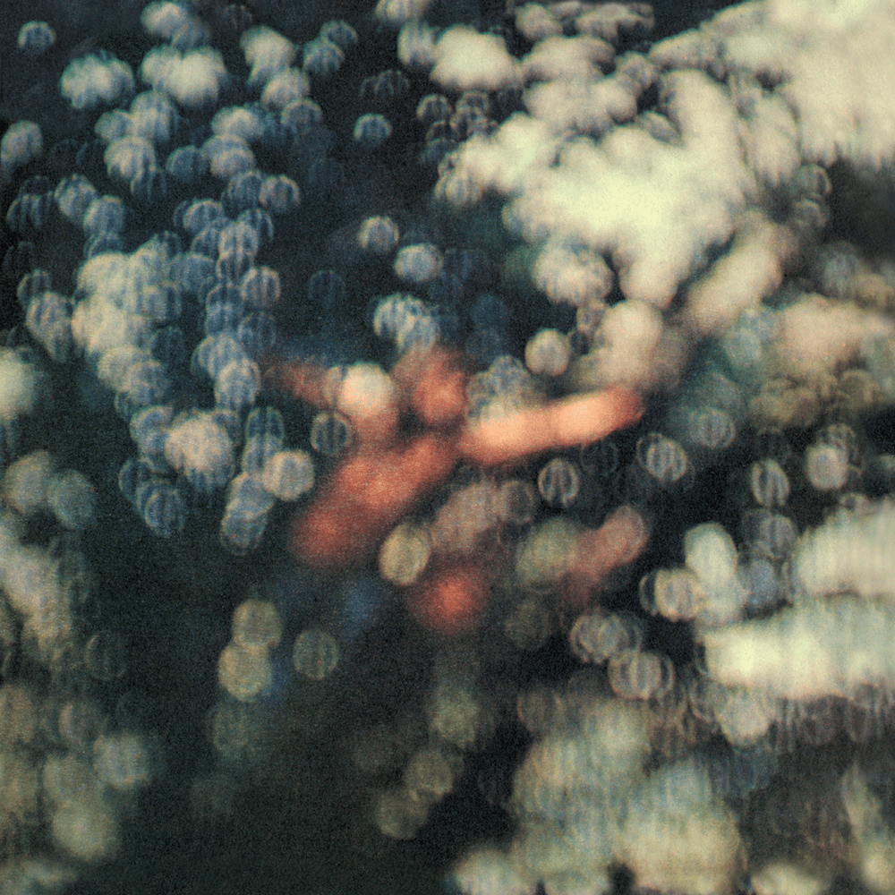 Album cover art for "Wot’s... Uh the Deal?" by Pink Floyd