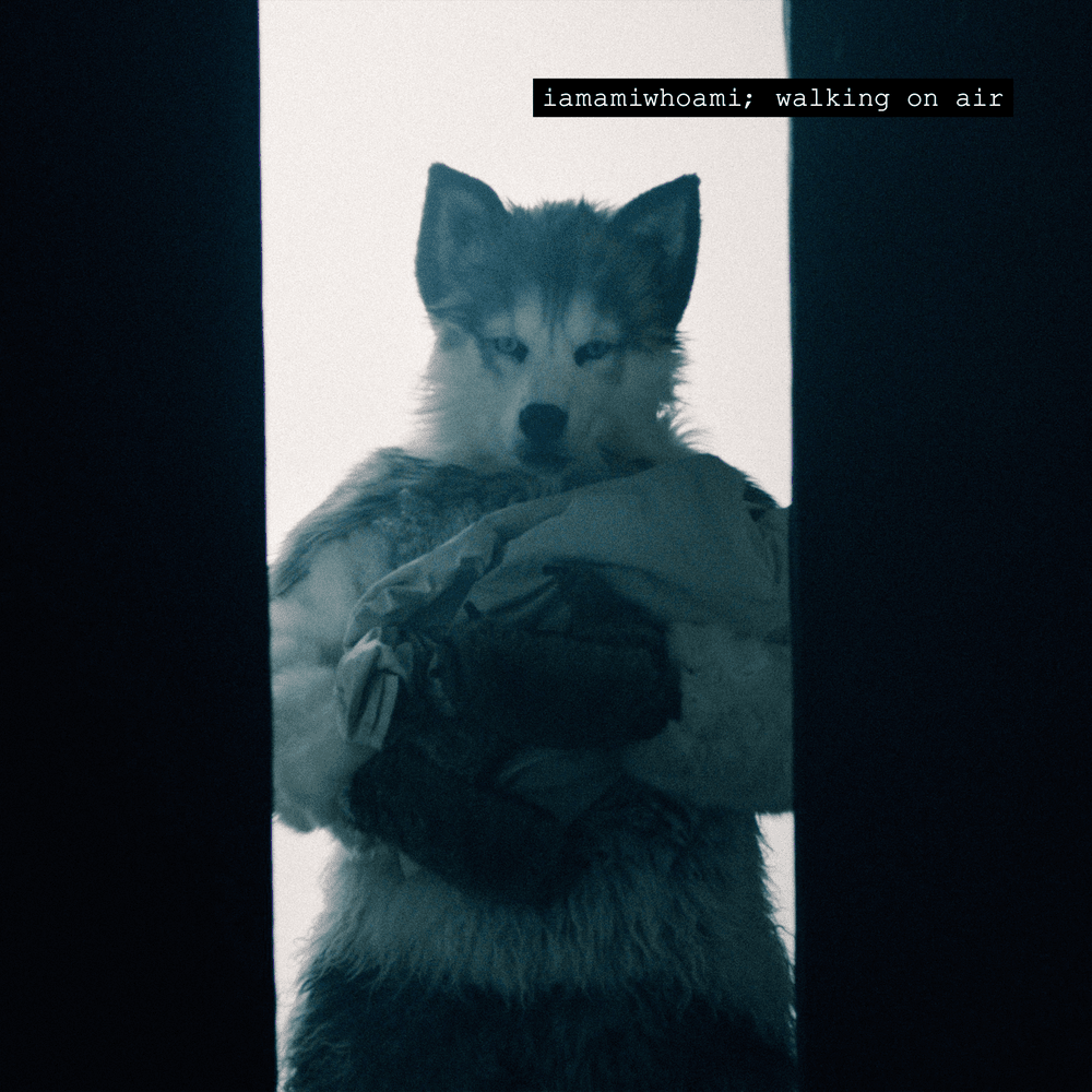 Album cover art for "walking on air" by iamamiwhoami