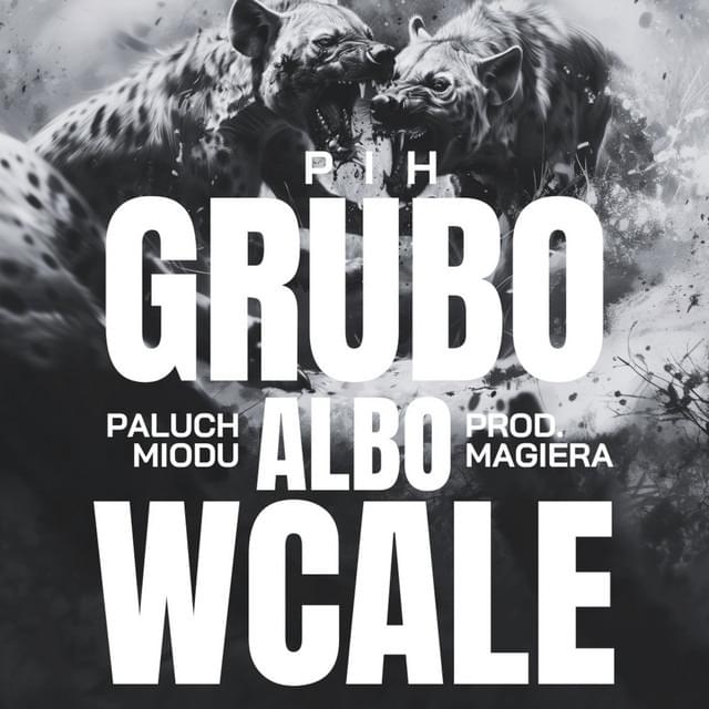 Album cover art for "Grubo Albo Wcale" by Pih & Paluch & Miodu