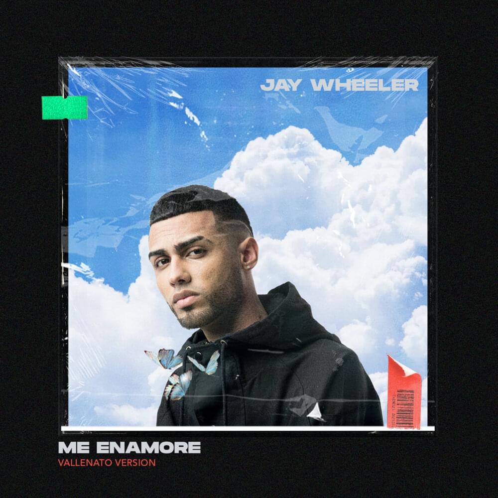 Album cover art for "Me Enamoré (Versión Vallenato)" by DJ Nelson