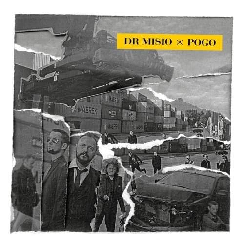 Pogo by Dr Misio