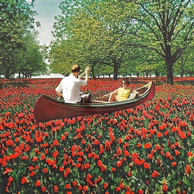 Album cover art for "Sway" by Elder Brother