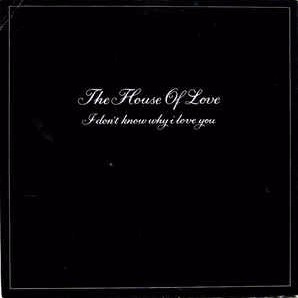 Cover image for I Don’t Know Why I Love You