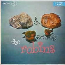 Since I First Met You by The Robins (Band)