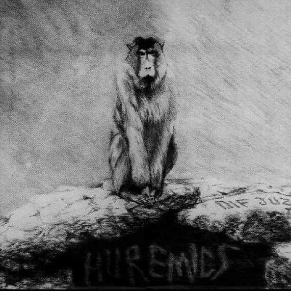 Cover image for Huremics