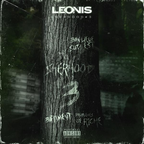 Album cover art for "Dans le b�timent (Sherhood #3)" by Leonis