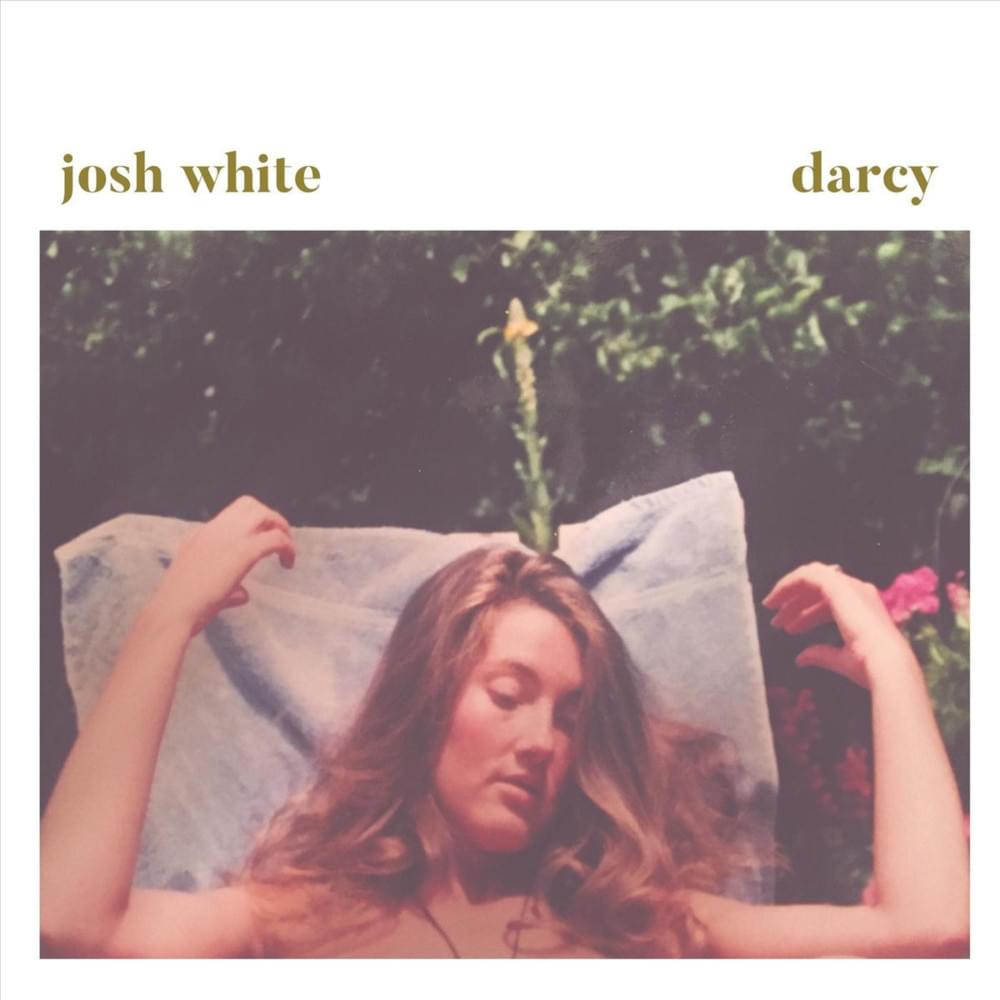 Cover image for Darcy