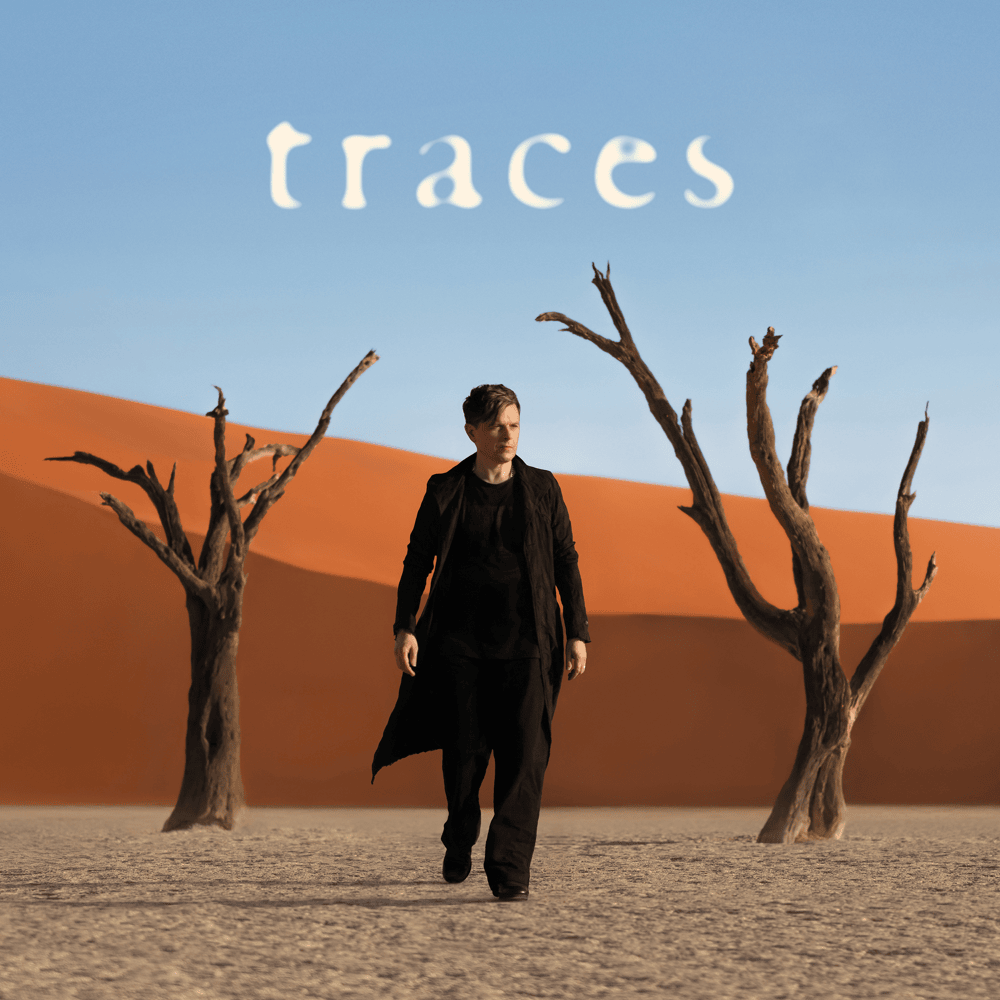 Cover image for Traces