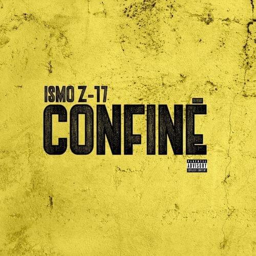 Cover image for Confiné